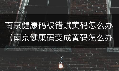 南京健康码被错赋黄码怎么办（南京健康码变成黄码怎么办）