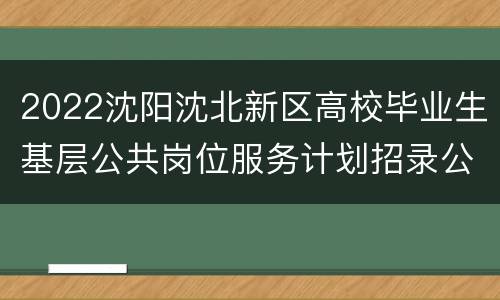 2022沈阳沈北新区高校毕业生基层公共岗位服务计划招录公告