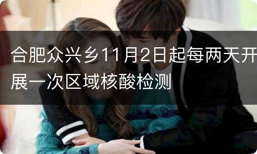 合肥众兴乡11月2日起每两天开展一次区域核酸检测