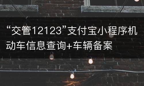 “交管12123”支付宝小程序机动车信息查询+车辆备案