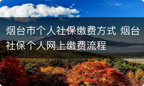 烟台市个人社保缴费方式 烟台社保个人网上缴费流程