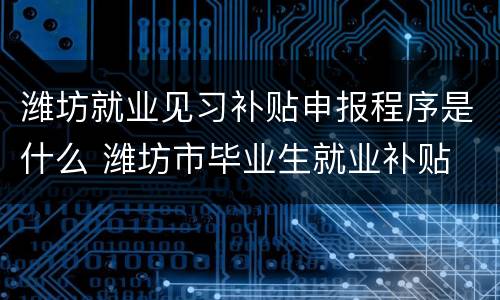 潍坊就业见习补贴申报程序是什么 潍坊市毕业生就业补贴
