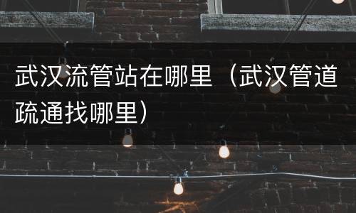 武汉流管站在哪里（武汉管道疏通找哪里）