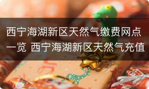 西宁海湖新区天然气缴费网点一览 西宁海湖新区天然气充值点