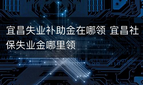 宜昌失业补助金在哪领 宜昌社保失业金哪里领