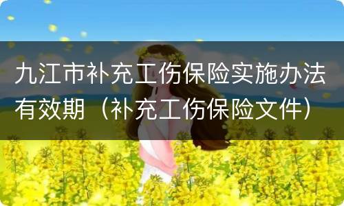 九江市补充工伤保险实施办法有效期（补充工伤保险文件）