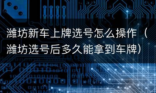潍坊新车上牌选号怎么操作（潍坊选号后多久能拿到车牌）