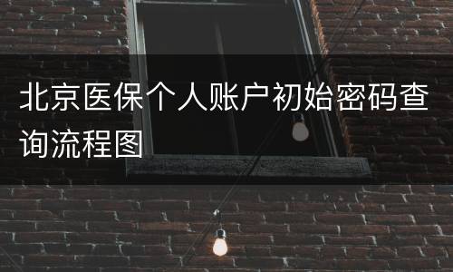 北京医保个人账户初始密码查询流程图