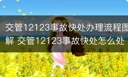 交管12123事故快处办理流程图解 交管12123事故快处怎么处理流程是怎样