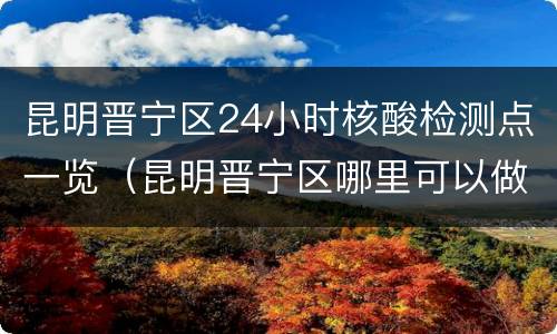 昆明晋宁区24小时核酸检测点一览（昆明晋宁区哪里可以做核酸检测）