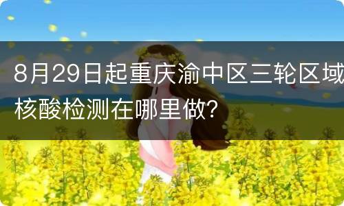 8月29日起重庆渝中区三轮区域核酸检测在哪里做？