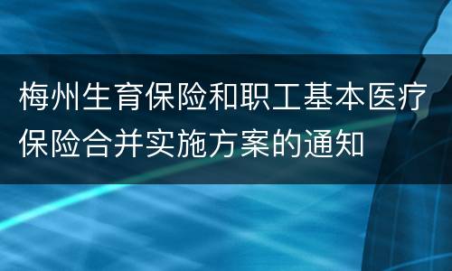 梅州生育保险和职工基本医疗保险合并实施方案的通知
