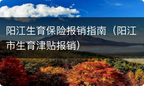 阳江生育保险报销指南（阳江市生育津贴报销）