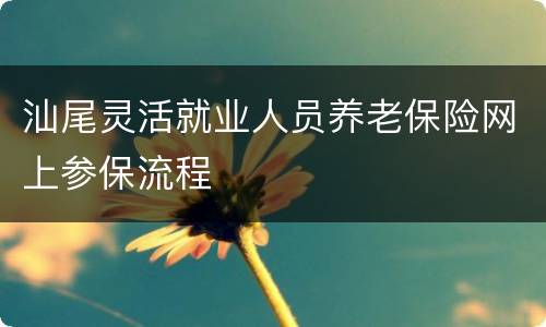 汕尾灵活就业人员养老保险网上参保流程