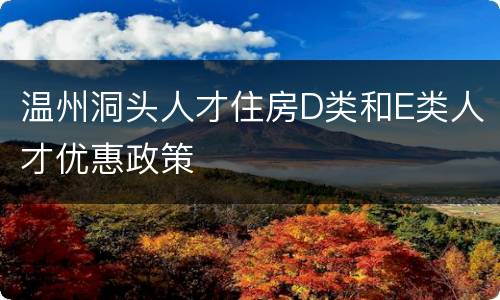 温州洞头人才住房D类和E类人才优惠政策