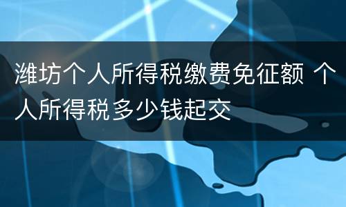 潍坊个人所得税缴费免征额 个人所得税多少钱起交