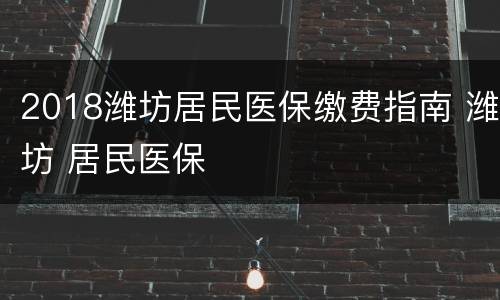 2018潍坊居民医保缴费指南 潍坊 居民医保