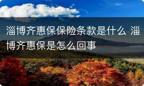 淄博齐惠保保险条款是什么 淄博齐惠保是怎么回事