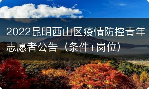 2022昆明西山区疫情防控青年志愿者公告（条件+岗位）