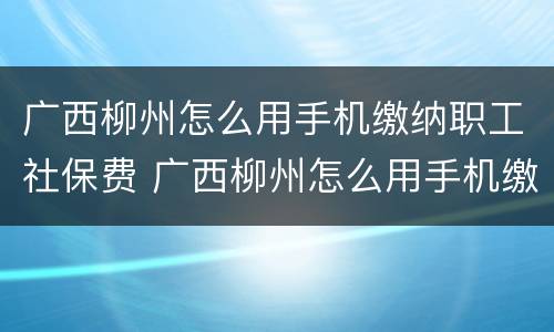 广西柳州怎么用手机缴纳职工社保费 广西柳州怎么用手机缴纳职工社保费的