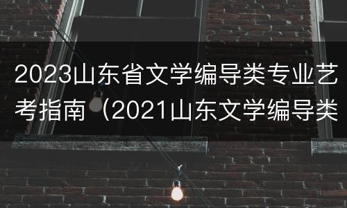 2023山东省文学编导类专业艺考指南（2021山东文学编导类招生总人数）
