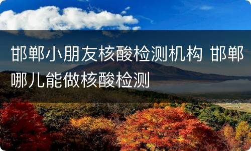 邯郸小朋友核酸检测机构 邯郸哪儿能做核酸检测