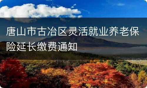 唐山市古冶区灵活就业养老保险延长缴费通知