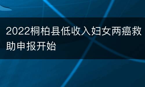 2022桐柏县低收入妇女两癌救助申报开始