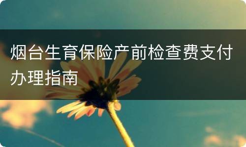 烟台生育保险产前检查费支付办理指南