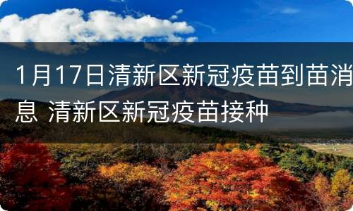 1月17日清新区新冠疫苗到苗消息 清新区新冠疫苗接种