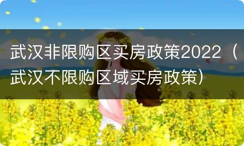 武汉非限购区买房政策2022（武汉不限购区域买房政策）