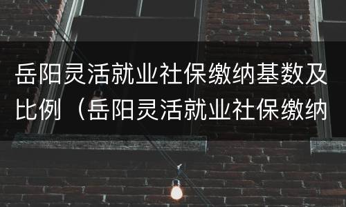 岳阳灵活就业社保缴纳基数及比例（岳阳灵活就业社保缴纳基数及比例）
