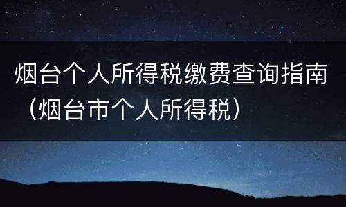 烟台个人所得税缴费查询指南（烟台市个人所得税）