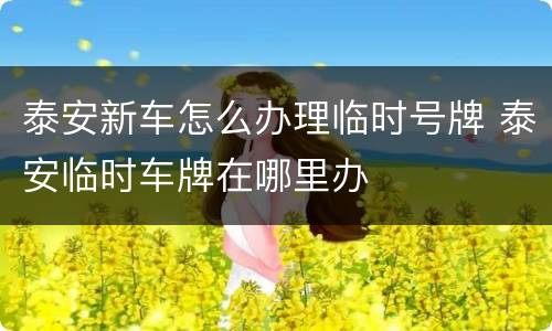 泰安新车怎么办理临时号牌 泰安临时车牌在哪里办