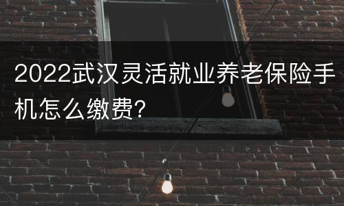 2022武汉灵活就业养老保险手机怎么缴费？
