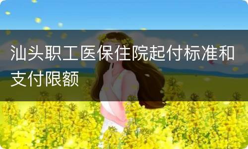 汕头职工医保住院起付标准和支付限额