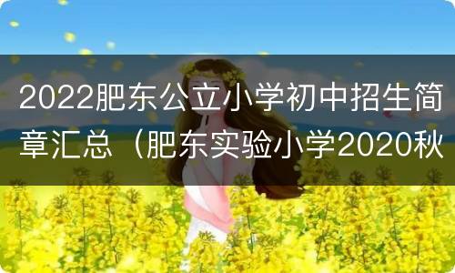 2022肥东公立小学初中招生简章汇总（肥东实验小学2020秋季招生）
