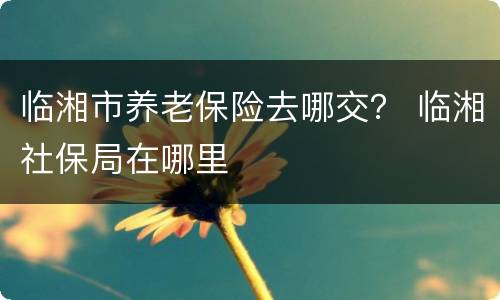 临湘市养老保险去哪交？ 临湘社保局在哪里