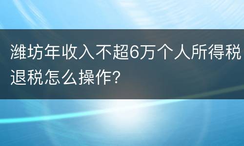 潍坊年收入不超6万个人所得税退税怎么操作？