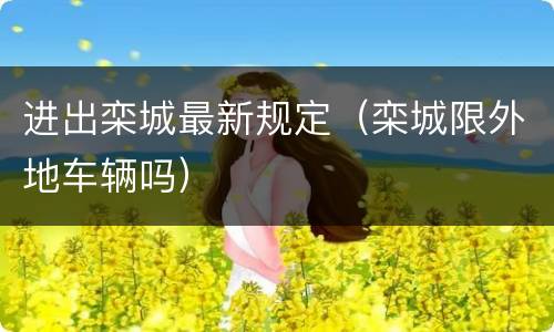 进出栾城最新规定（栾城限外地车辆吗）