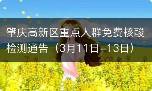 肇庆高新区重点人群免费核酸检测通告（3月11日-13日）