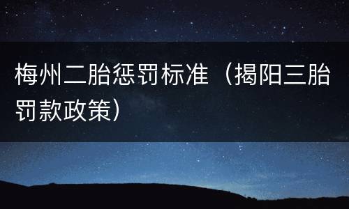梅州二胎惩罚标准（揭阳三胎罚款政策）