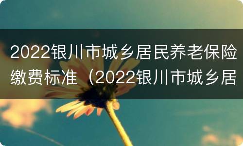 2022银川市城乡居民养老保险缴费标准（2022银川市城乡居民养老保险缴费标准是多少）