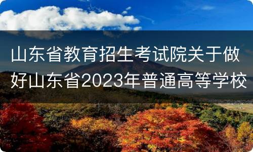 山东省教育招生考试院关于做好山东省2023年普通高等学校招生考试报名工作的通知