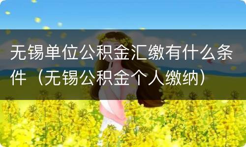 无锡单位公积金汇缴有什么条件（无锡公积金个人缴纳）