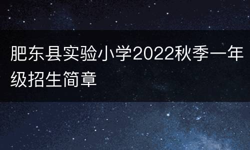 肥东县实验小学2022秋季一年级招生简章