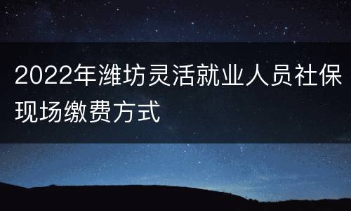 2022年潍坊灵活就业人员社保现场缴费方式