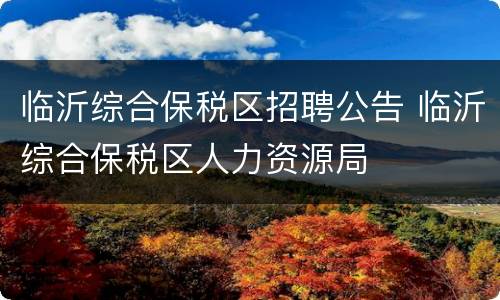 临沂综合保税区招聘公告 临沂综合保税区人力资源局