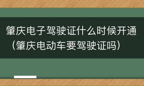 肇庆电子驾驶证什么时候开通（肇庆电动车要驾驶证吗）