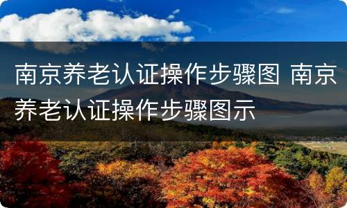 南京养老认证操作步骤图 南京养老认证操作步骤图示